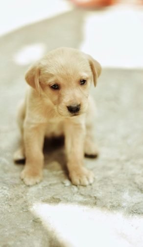 Trato respetuoso y atención individual